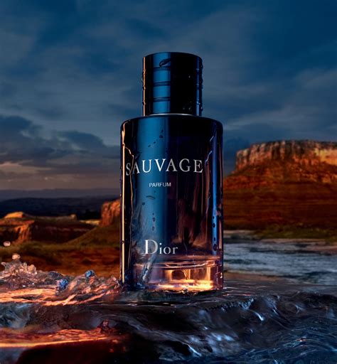 dior sauvage hondos|sauvage Dior fragrance.